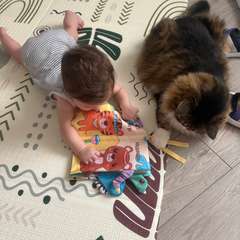 Фото отзыва 10777805