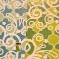 Фото отзыва 10326088