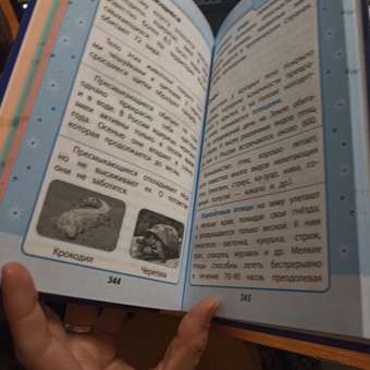 Книга Эксмо Весь курс начальной школы в схемах и таблицах: отзыв пользователя Детский Мир