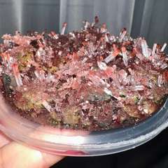 Фото отзыва 10528485