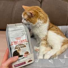 Фото отзыва 10695631