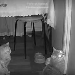 Фото отзыва 11229762