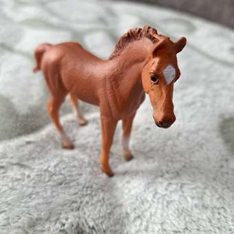 Фигурка Collecta Жеребец чистокровный: отзыв пользователя Детский Мир