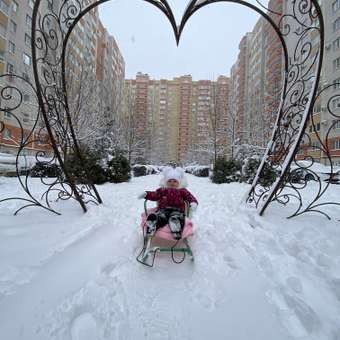 Санки NiKA kids Ветерок: отзыв пользователя Детский Мир