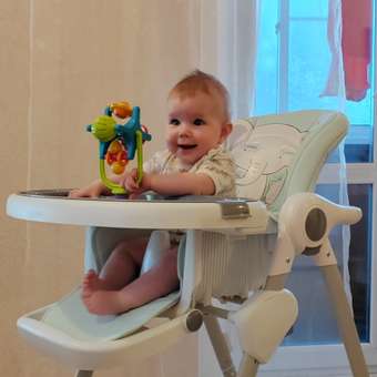 Стульчик для кормления Babyton Multiset Mint классический: отзыв пользователя Детский Мир