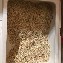 Фото отзыва 10977196