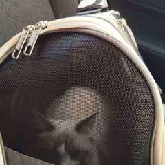 Фото отзыва 11063951