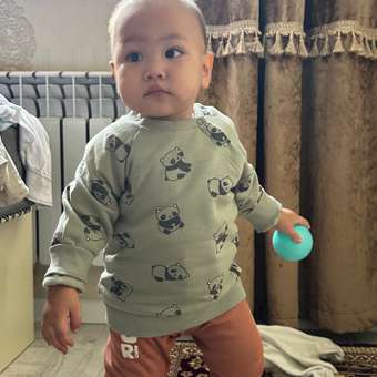 Свитшот Baby Gо: отзыв пользователя Детский Мир