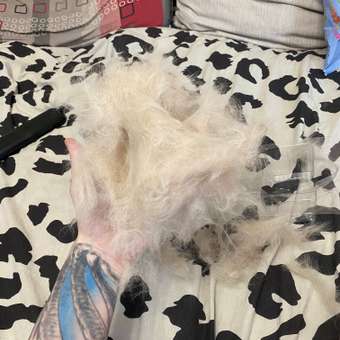 Расческа для кошек FURMINATOR больших пород c короткой шерстью M/L 141259: отзыв пользователя. Зоомагазин Зоозавр