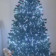 Фото отзыва 10854806