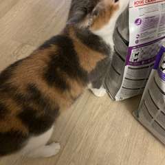 Фото отзыва 11030132