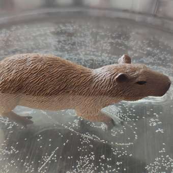 Фигурка Collecta Капибара: отзыв пользователя Детский Мир