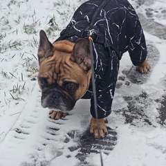 Фото отзыва 10743225