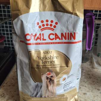 Корм для собак ROYAL CANIN породы йоркширский терьер 1.5кг: отзыв пользователя. Зоомагазин Зоозавр