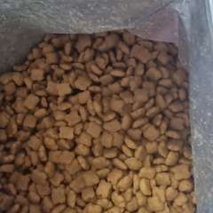 Фото отзыва 10331894