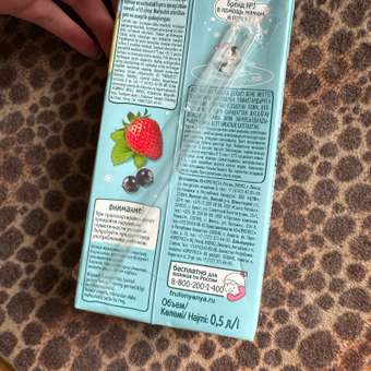 Сок ФрутоНяня Яблоко-клубника-черная смородина-шиповник с 12 мес 0.2 л: отзыв пользователя Детский Мир