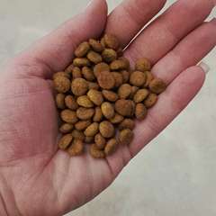 Фото отзыва 11224876