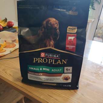 Корм сухой для собак PRO PLAN DUO DELICE 2.5 кг с говядиной для мелких и карликовых пород: отзыв пользователя. Зоомагазин Зоозавр