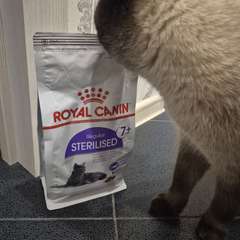 Фото отзыва 10605037