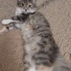 Фото отзыва 10945906