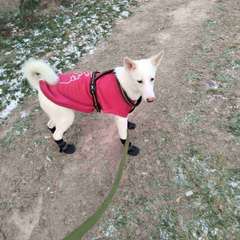 Фото отзыва 10793286