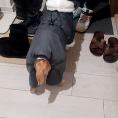 Фото отзыва 10857618