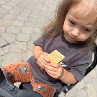 Печенье рисовое Baby two teeth со вкусом яблока и тыквы с 6 месяцев: отзыв пользователя Детский Мир