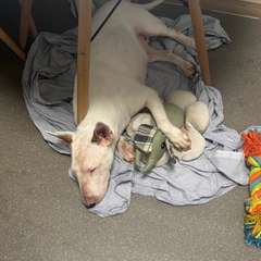 Фото отзыва 9917711