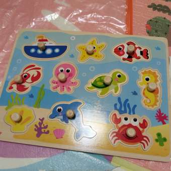 Пазл Tooky Toy: отзыв пользователя Детский Мир