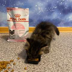 Фото отзыва 11000258