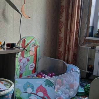 Сухой бассейн BabyGo: отзыв пользователя Детский Мир