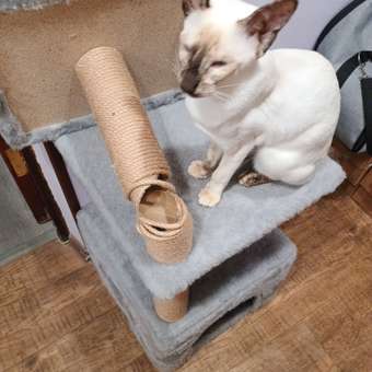 Домик для кошки с когтеточкой Pet БМФ Серый: отзыв пользователя. Зоомагазин Зоозавр