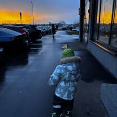 Фото отзыва 10856217