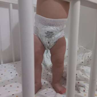 Трусики Brand For My Son M (6-11 кг) 5 шт.: отзыв пользователя Детский Мир