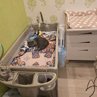 Манеж кровать Tomix Born Plus: отзыв пользователя Детский Мир
