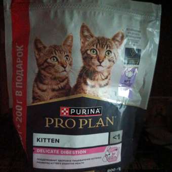 Корм для котят PRO PLAN Delicate Digestion с индейкой 400+200г: отзыв пользователя. Зоомагазин Зоозавр