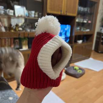 Шапка для собак и кошек Зоозавр: отзыв пользователя. Зоомагазин Зоозавр