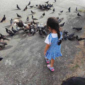 Комплект Baby Gо Trend: отзыв пользователя Детский Мир