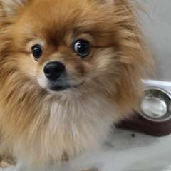 Фото отзыва 10758616