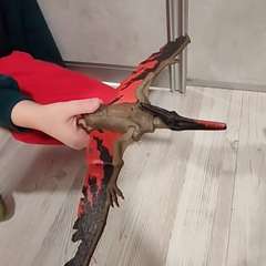 Видео отзыва 10850644