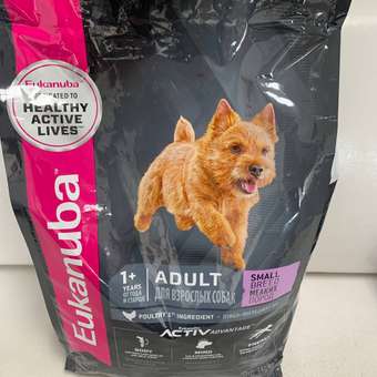 Корм Eukanuba Dog 3кг для взрослых собак мелких пород сухой: отзыв пользователя. Зоомагазин Зоозавр