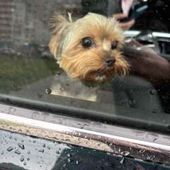 Фото отзыва 10523316