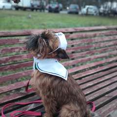 Фото отзыва 11264049