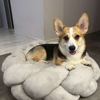 Лежанка для собак Barbaks Плетёная 65*18см: отзыв пользователя. Зоомагазин Зоозавр