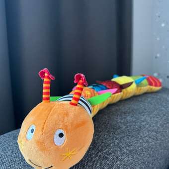 Игрушка BabyGo Гусеница: отзыв пользователя Детский Мир