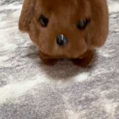 Видео отзыва 10908279