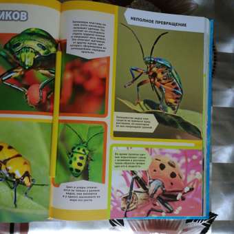 Книга ЭКСМО-ПРЕСС Большая энциклопедия насекомых: отзыв пользователя Детский Мир