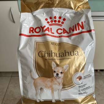 Корм для собак ROYAL CANIN породы чихуахуа 3кг: отзыв пользователя. Зоомагазин Зоозавр