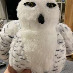 Фото отзыва 10612598