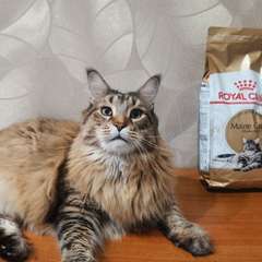 Фото отзыва 10485371